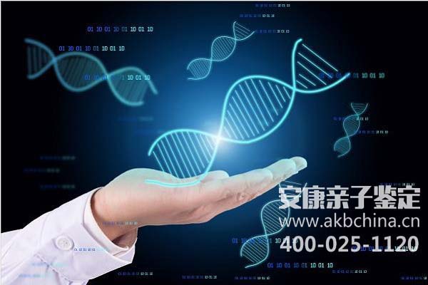 郑州郑州亲子鉴定做个人和DNA的费用一般多少钱 
