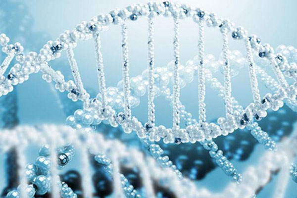 胚胎可以提取样本做DNA吗？