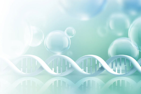 阜阳母女单亲能做DNA比对吗？ 