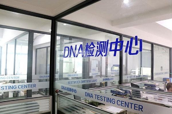 郑州DNA鉴定多少钱（揭秘DNA鉴定的实际收费标准） 